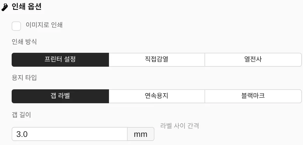 인쇄설정 창의 인쇄 옵션. 이미지로 인쇄 체크 칸, 인쇄 방식, 용지 타입, 갭 길이